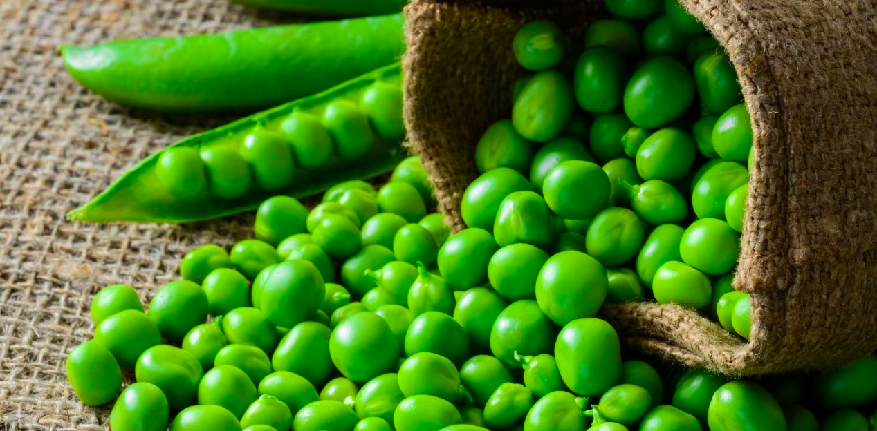 Peas: Protein source