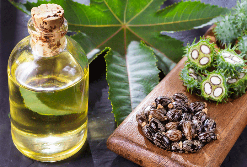 What is Castor oil? Interesting Arandi Oil Uses