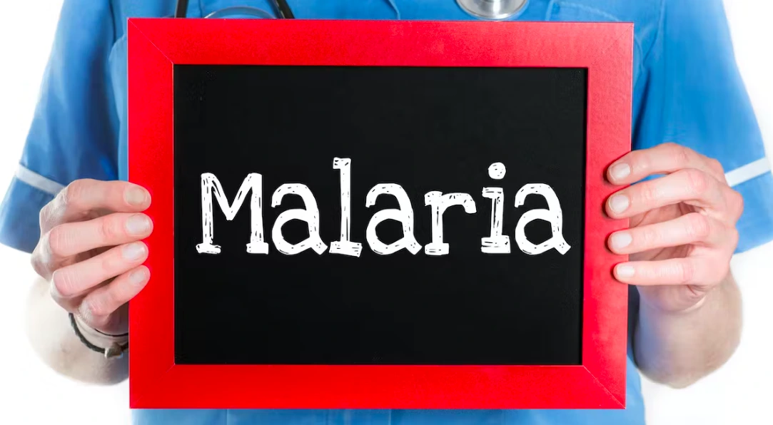 What is Malaria?