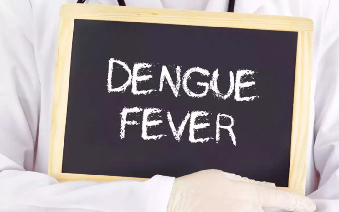 What is Dengue?