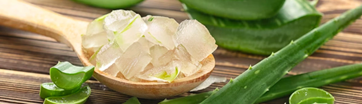 6. Aloe Vera