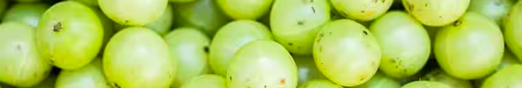 8) Amla