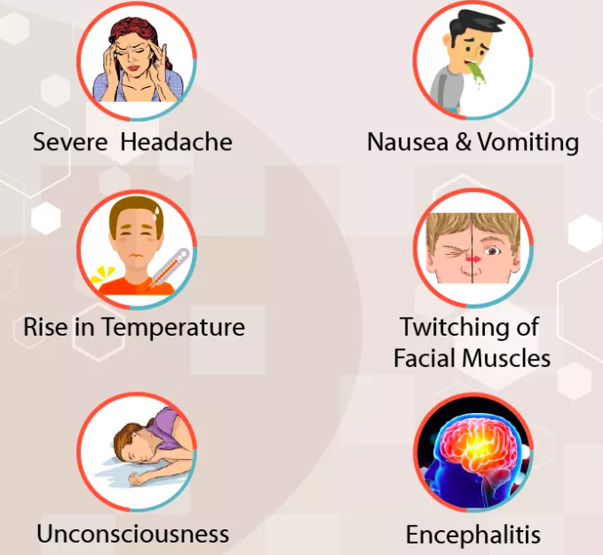 Nipah Virus Signs and symptoms